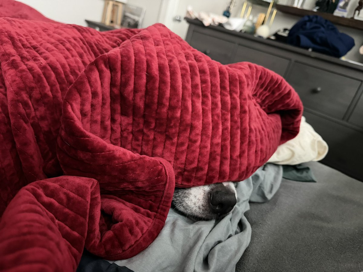 Казак Сиэтла tweet media