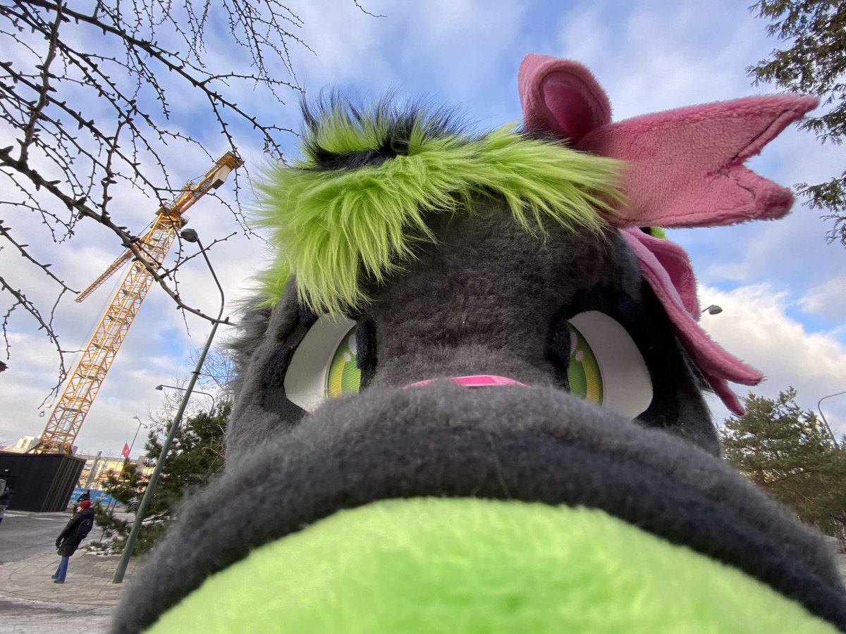 Puffs🐾 tweet media