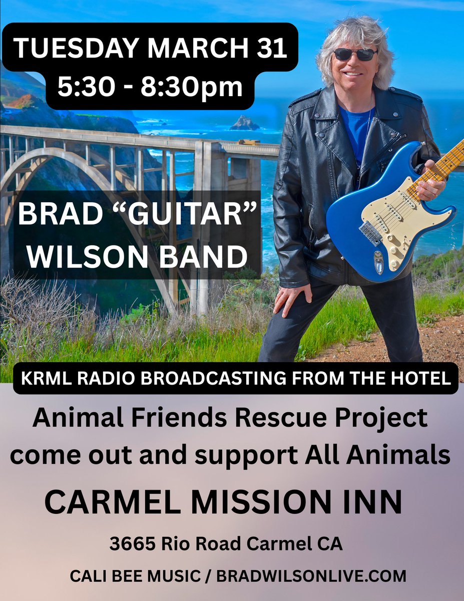 Brad "Guitar" Wilson (@bradwilsonlive) on Twitter photo 