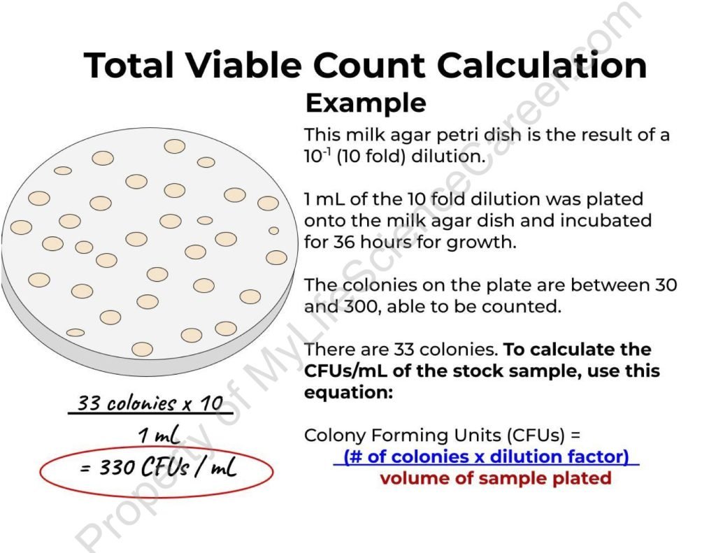 myLScareer's tweet image. The Total Viable Count Method is used to calculate the living microbial load (CFU/mL) of a given sample. 

Learn how to perform the Total Viable Count Method here: mylifesciencecareer.com/total-viable-c…

#TotalViableCountMethod #Microbiology #Laboratory #Science #Biology