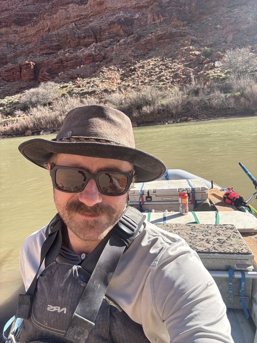 bargain pothole tweet media