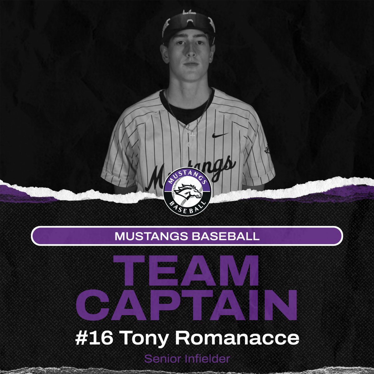 Rolling Meadows Baseball tweet media