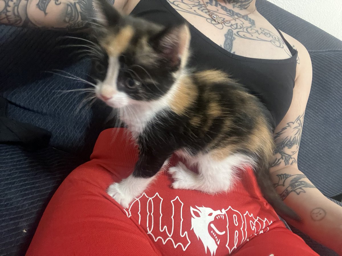 coochie mane tweet media