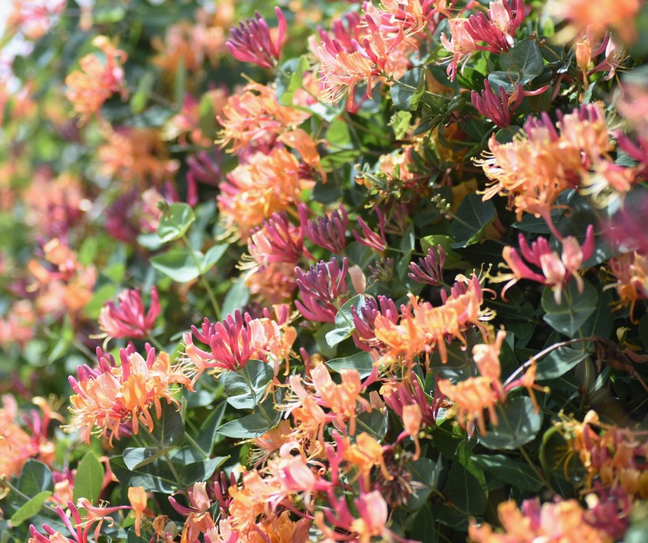 Neale Donald Walsch tweet media