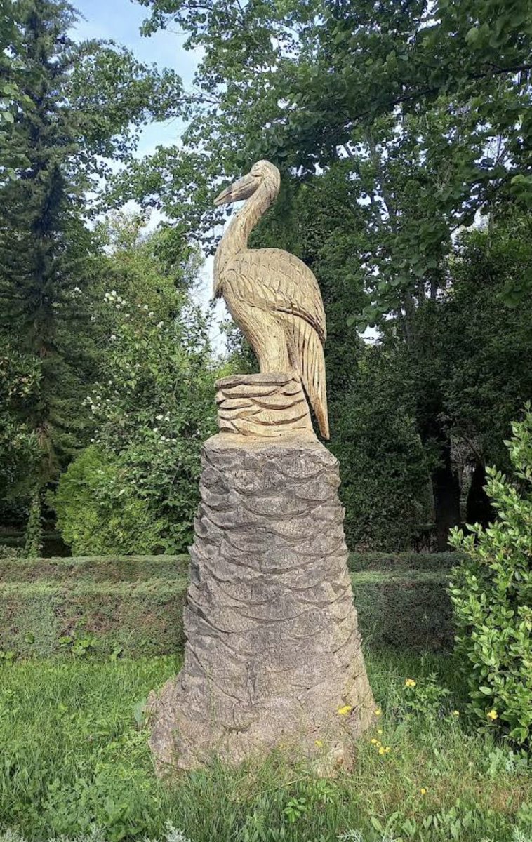 QUÉ hacer si el viento bota la palmera
