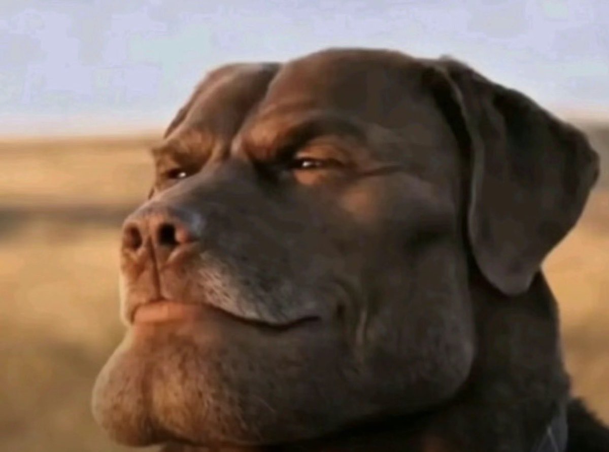 TSV_genesis tweet media