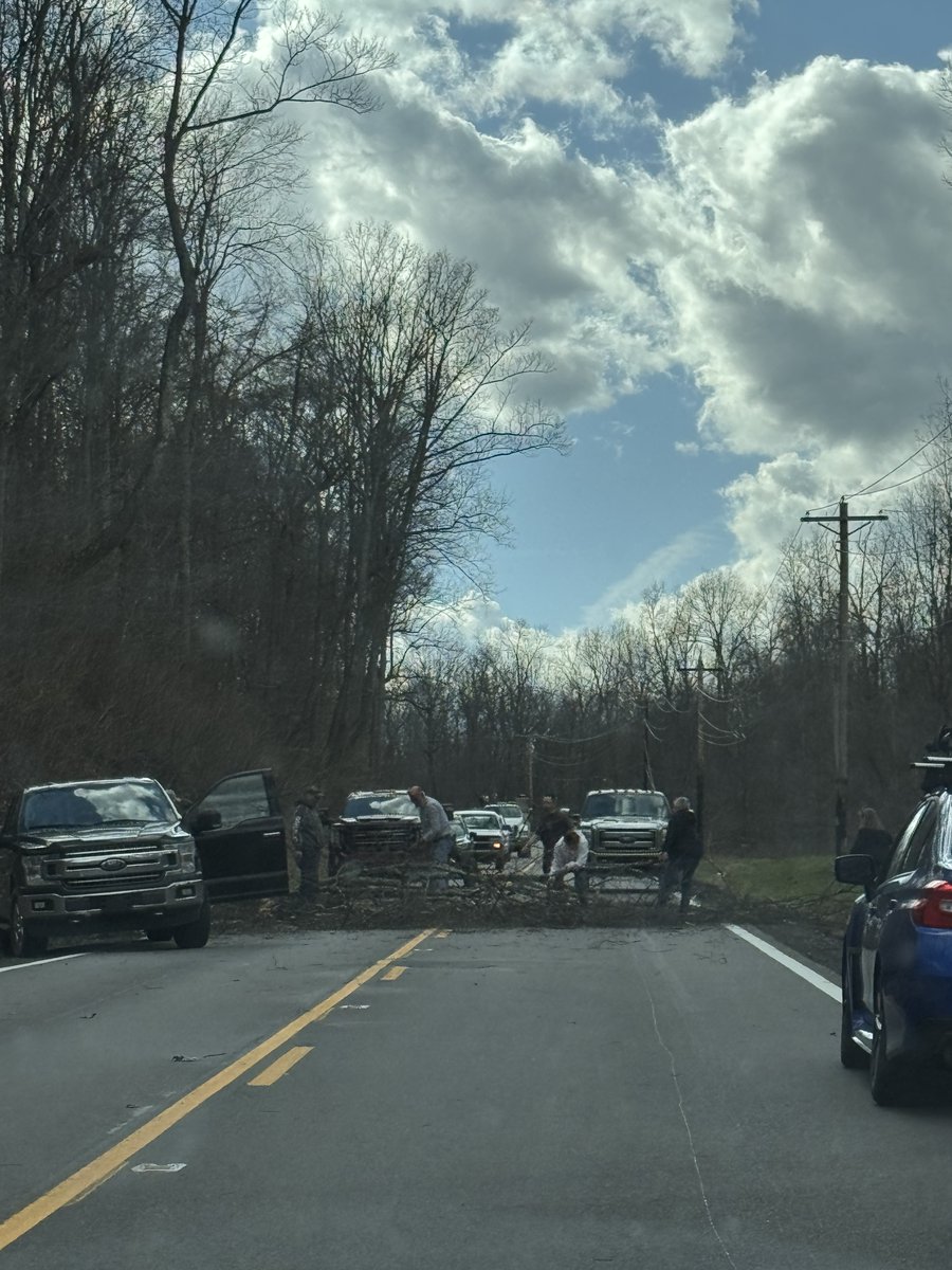 Dylan Cleland tweet media