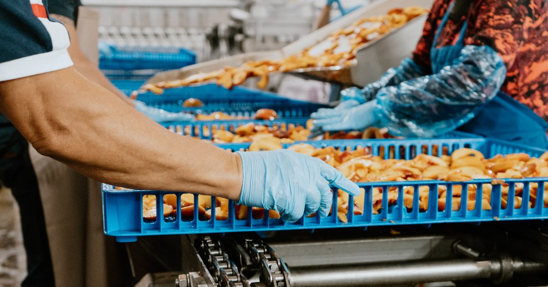 The Ugly Co. tweet media