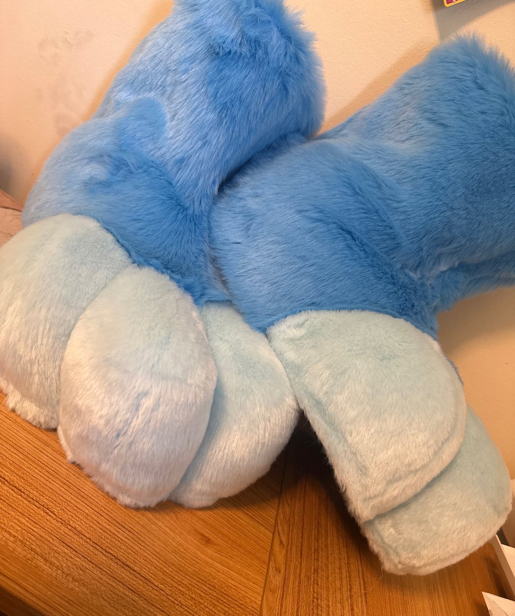 Blue Harbor 🌊⚓️ tweet media