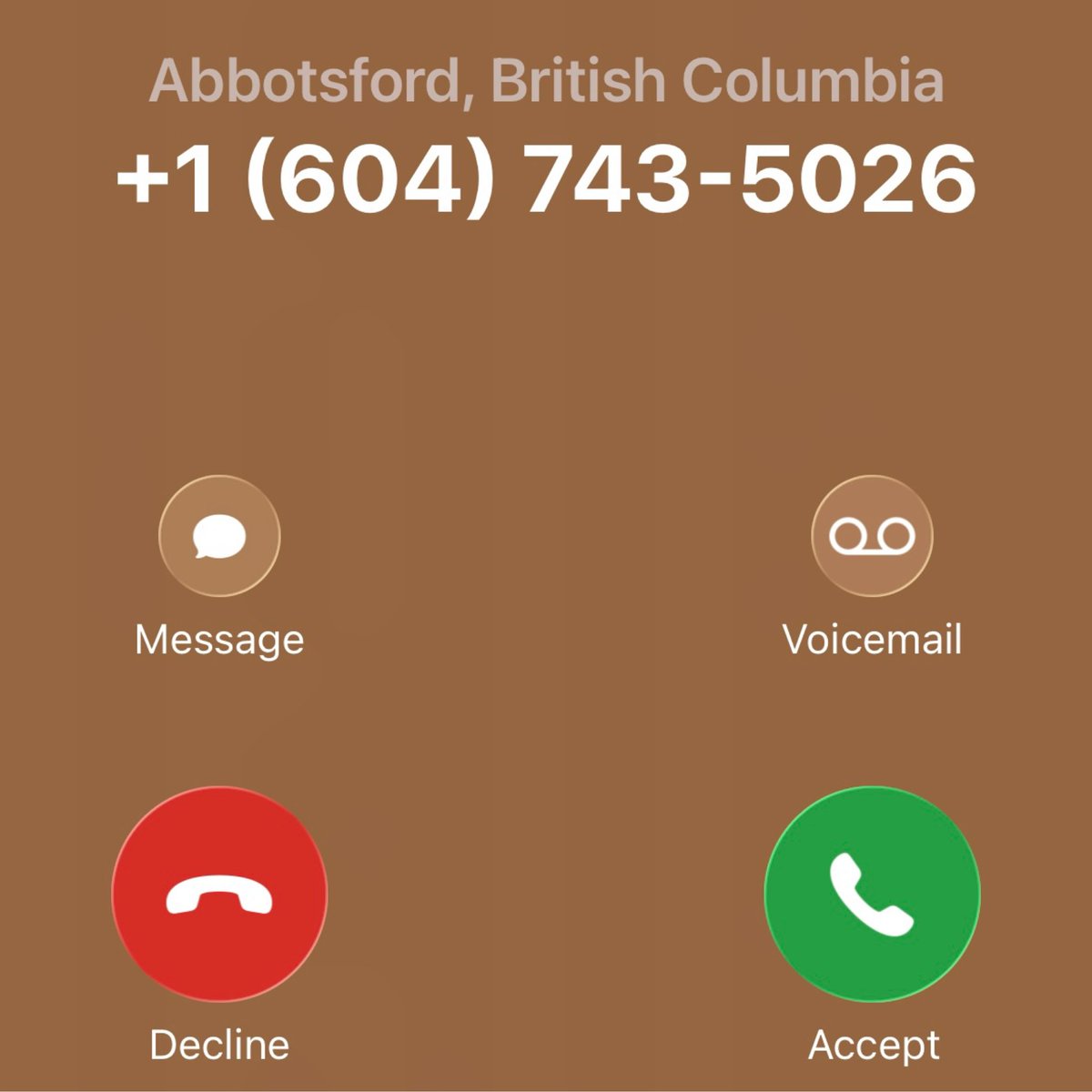 sky ✧˖°⭑˖ tweet media