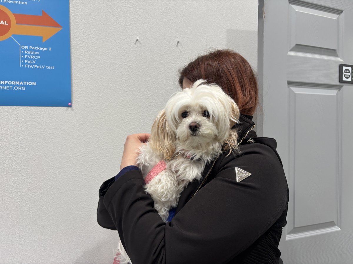 Spay Neuter Network tweet media