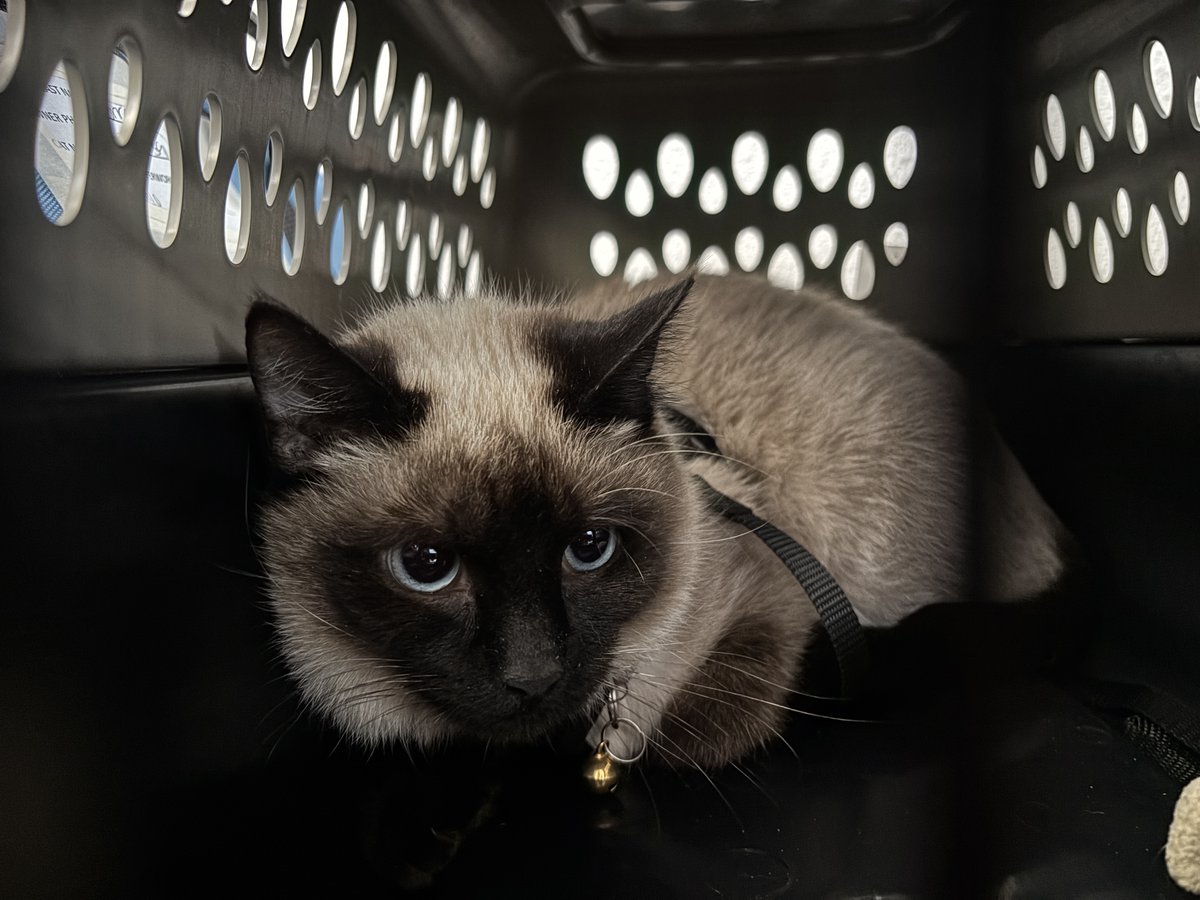 Spay Neuter Network tweet media