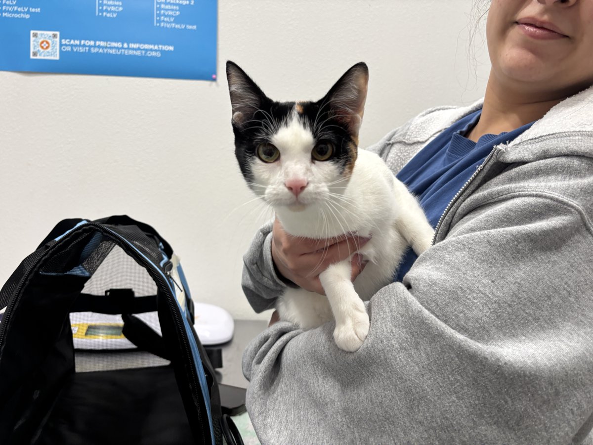 Spay Neuter Network tweet media