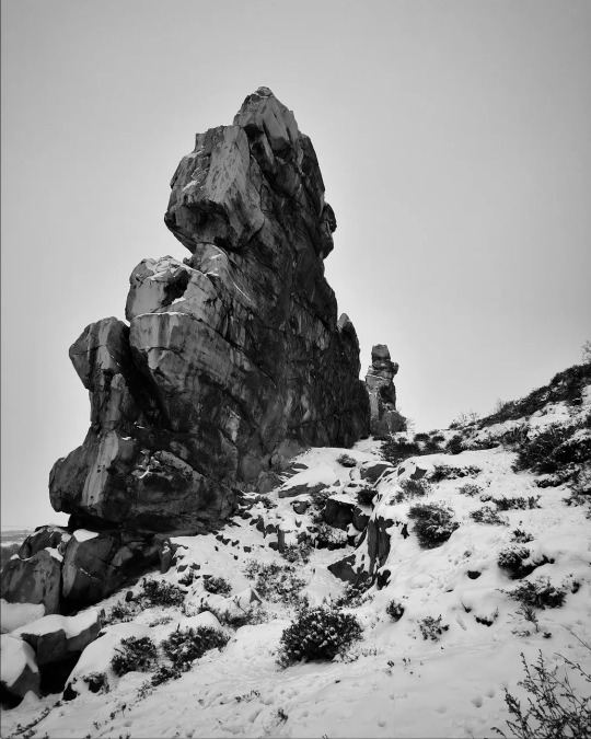 Artistics tweet media