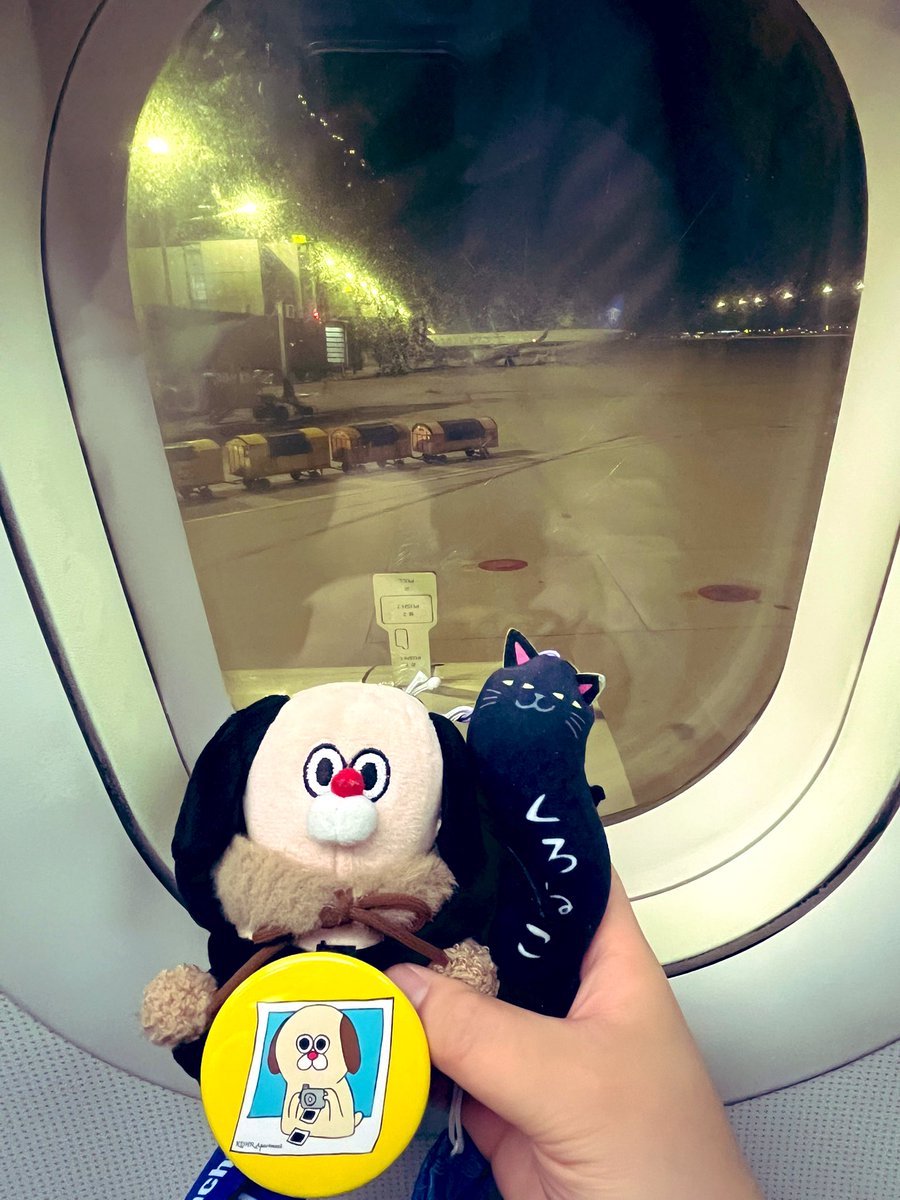 ゆめº tweet media