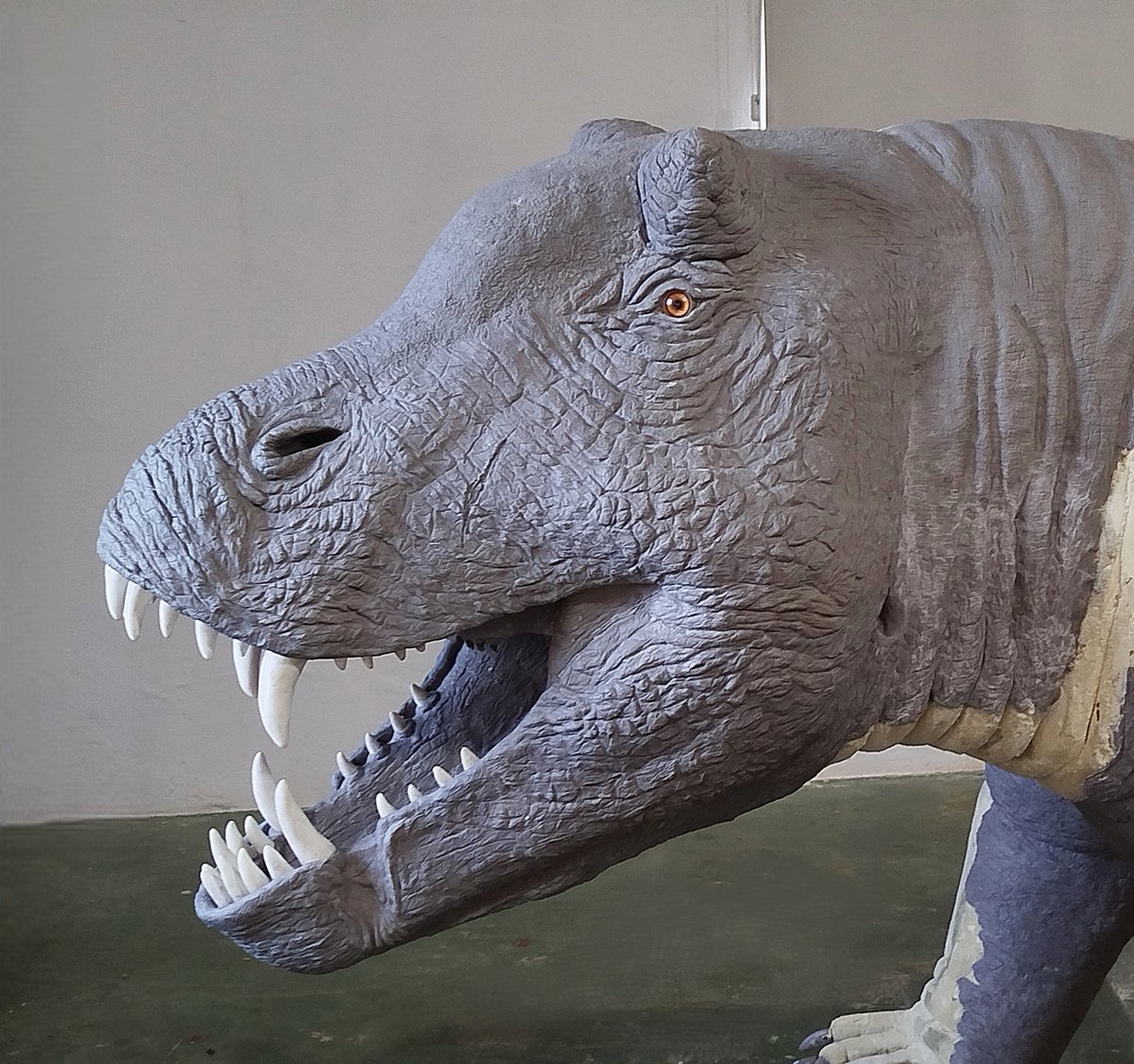 Salvatore Rabito Alcón tweet media