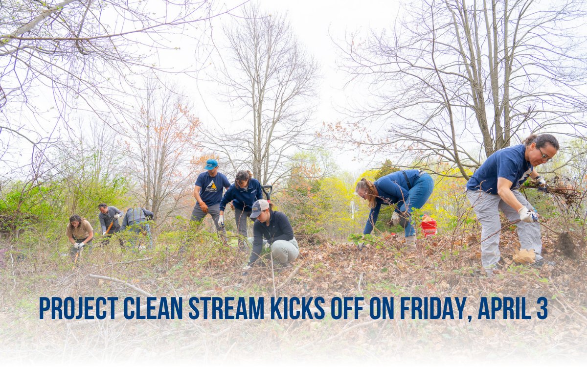 Alliance For The Bay tweet media