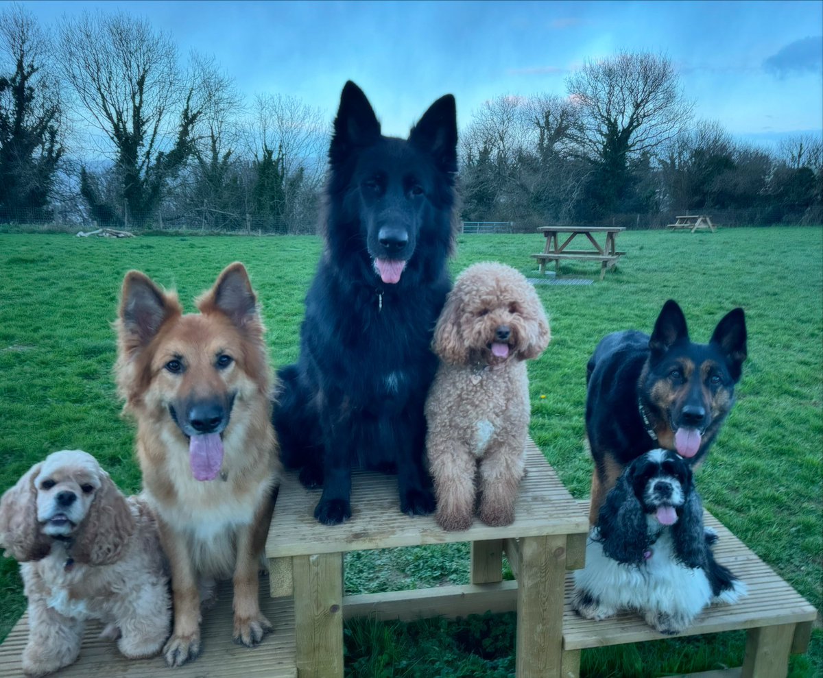 RPD Dixie tweet media