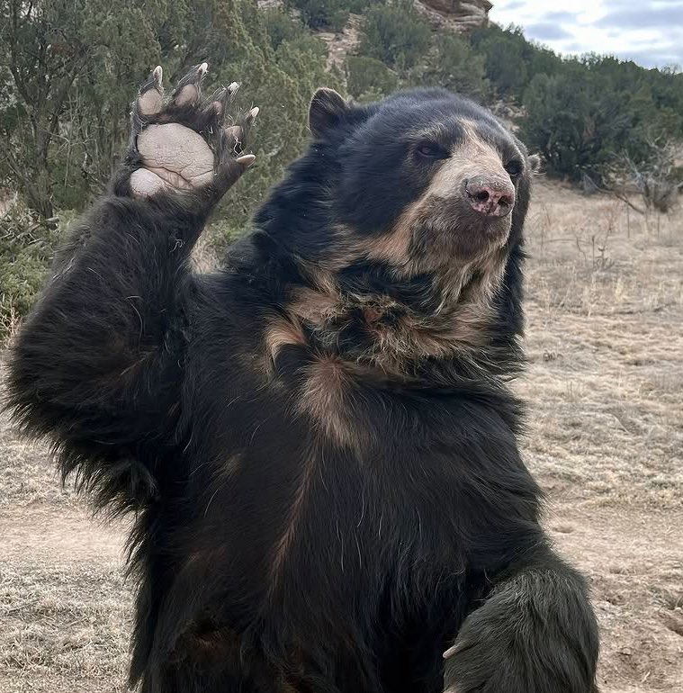 SunnyDales tweet media