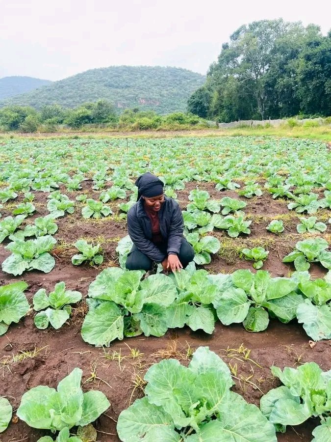 veterinaire_rw's tweet photo. she choose to be a farmer ! a farmer means a friend of who you don't know but who benefit from you, like you know each other ! 
farmers work for the life of consumers !

Female in agriculture https://t.co/eYFuS52ZuI