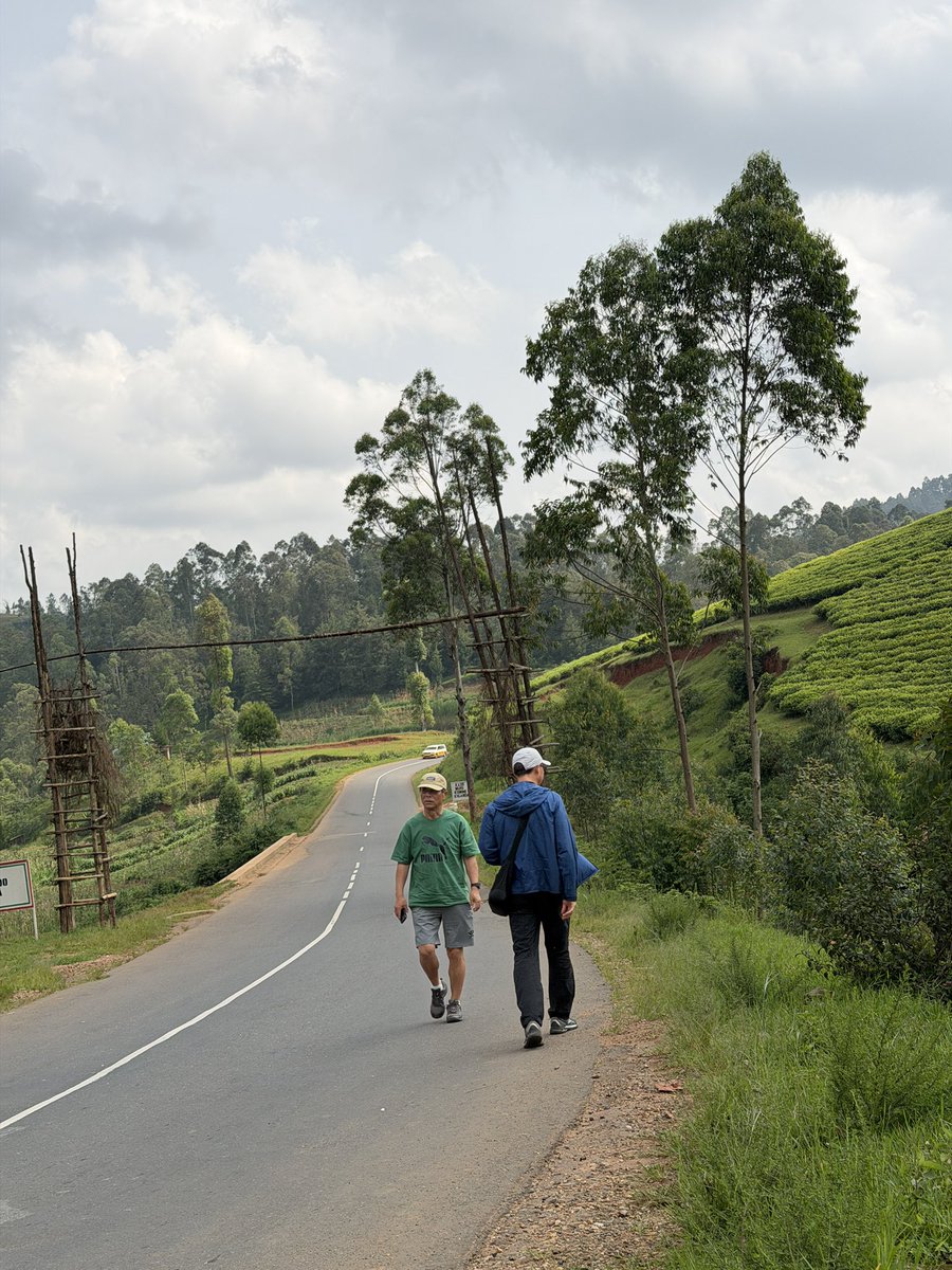 Au cœur des collines verdoyantes de Muramvya, Burundi 🇧🇮
Un simple arrêt au bord de la route devient un souvenir inoubliable:
Les plantations de thé dessinent un paysage magnifique.
Envie de vivre cette expérience ?
Travel smart. Travel safe with <a href="/tanganyikalinks/">tanganyikalinkstours</a> 

#visitburundi