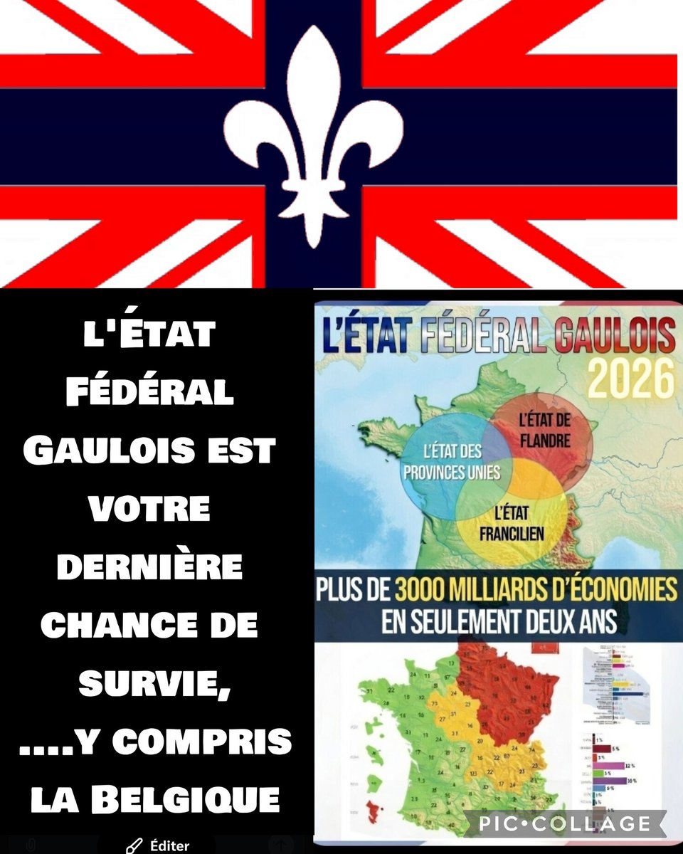 .
Appel à toutes les unités :
Vendéenne
Bretonne
Corse
Flandre
Basque
...
Arrêtez de voter sous la #République française

Le vrai problème est devant vos yeux depuis toujours,
🚨la #France= le Jacobinisme + le parisienisme

Vive la #Gaule libre,
Vivement l'#État_fédéral Gaulois
.