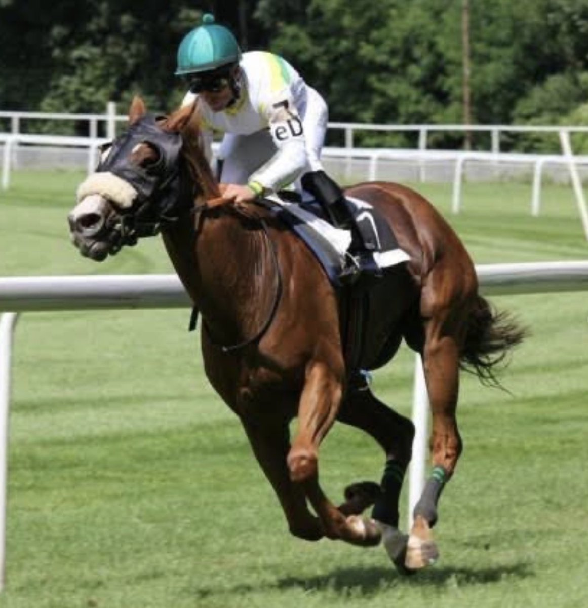 Kaan Arslan tweet media