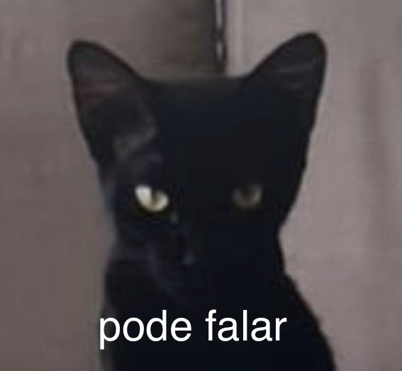 pamdosantos's tweet photo. @cafedas15h ela assim https://t.co/NyzDwm0Co4