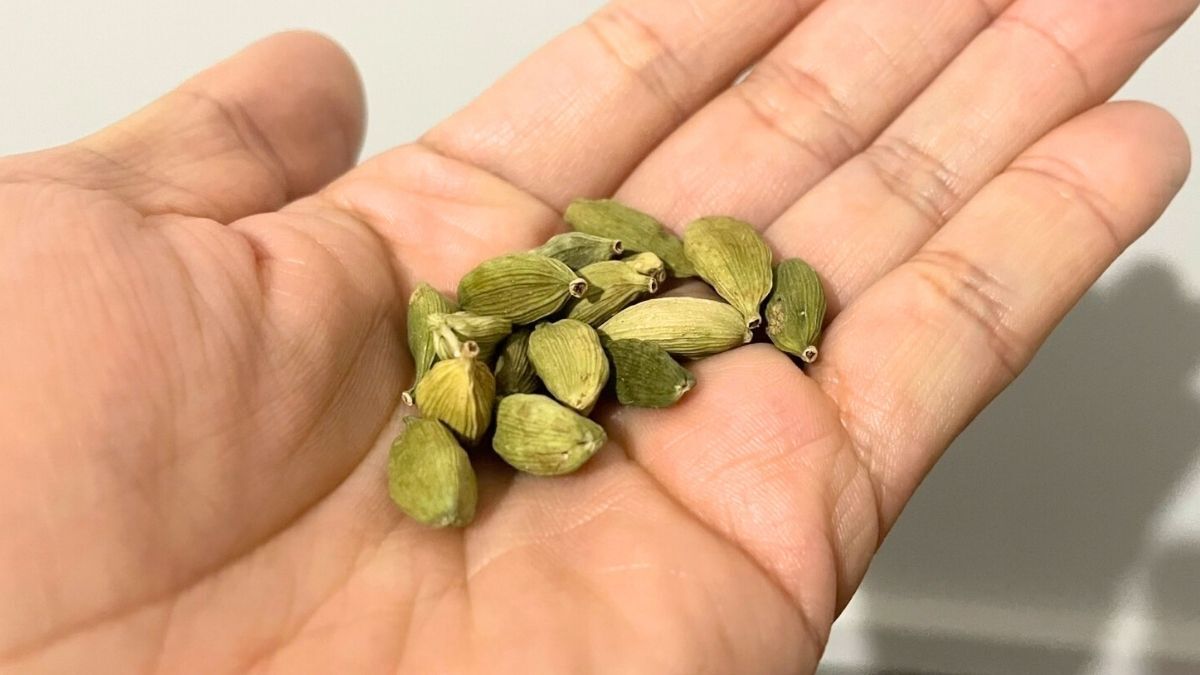 masamu_health's tweet photo. 花粉症には”アレグラ”って思っている人は時代遅れです。今すぐ『カルダモン』を調べてください。Threadsでバズってたから半信半疑で試してみたら、たった２日で地獄の鼻詰まりから解放されてぐっすり眠れるようになりました。マスクも薬も点鼻薬も卒業。控えめに言って最高です。おすすめの飲み方と注意点はリプ欄↓
