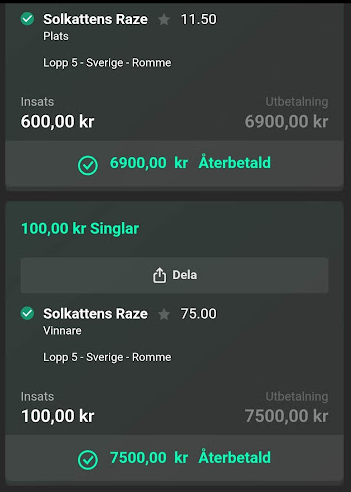 Den enprocentiga flaggan skötte sig bra på Fredagen den 13:e 🥰(reducerat i Bara Trav).