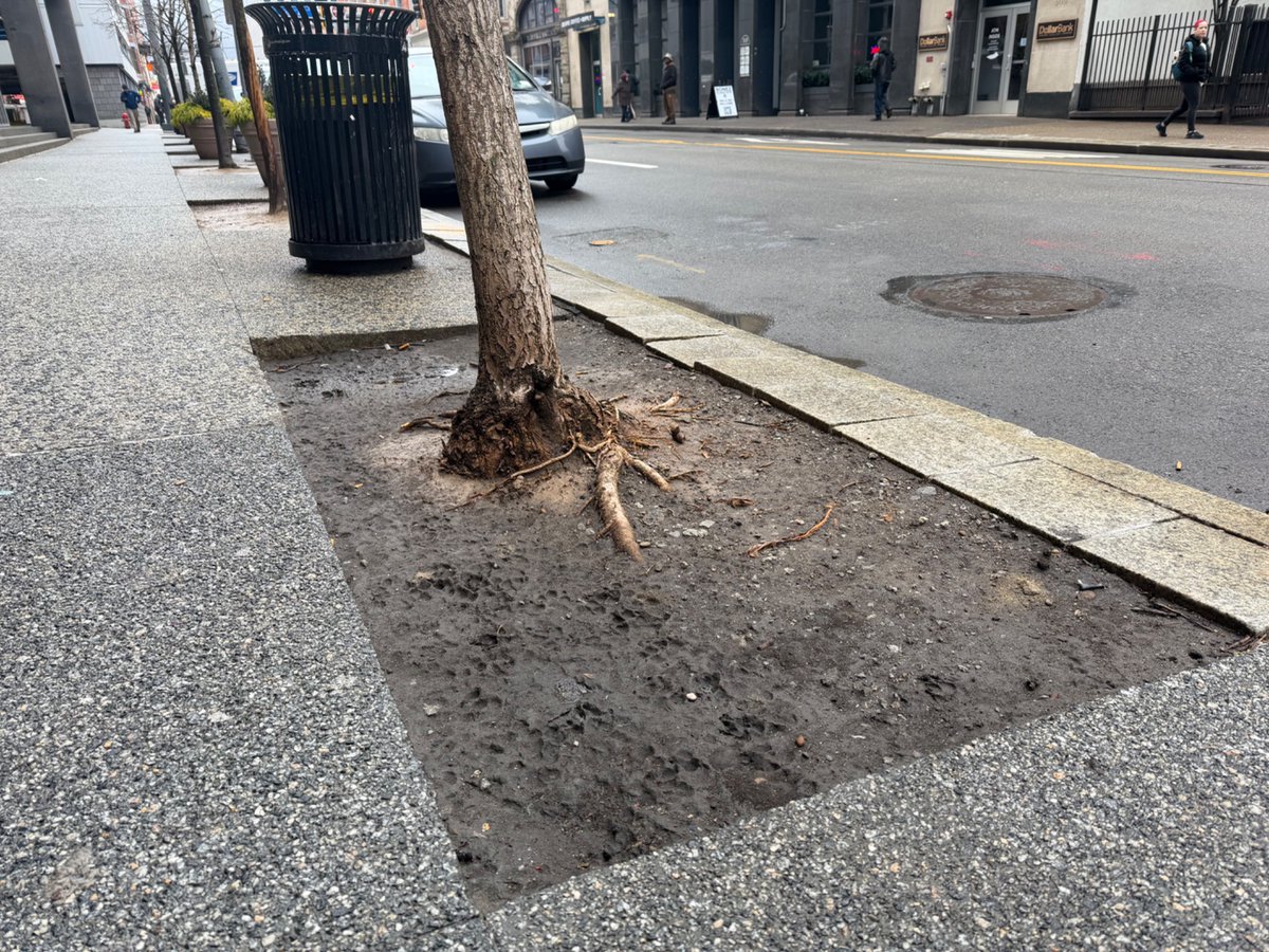 Corey O'Connor tweet media