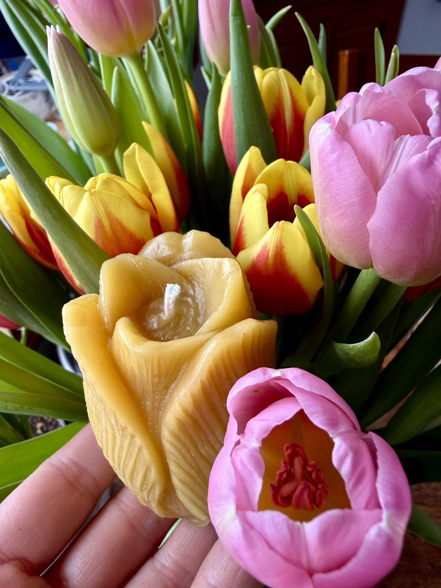 Our hand poured, pure beeswax candles have been restocked! Link to our store in comments below. Happy spring‽