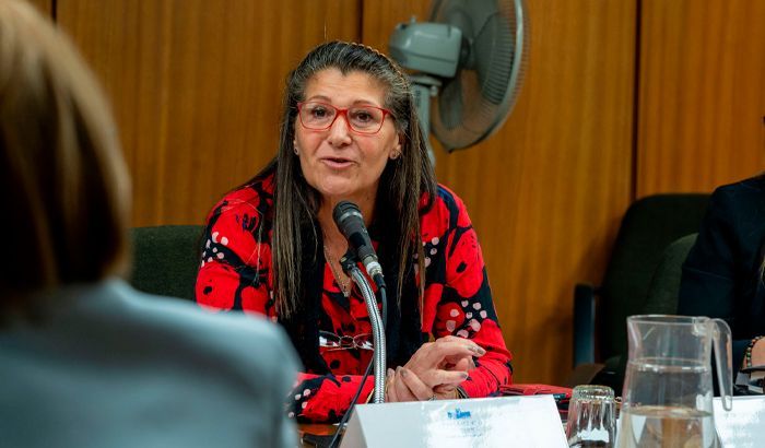 Municipio D tweet media