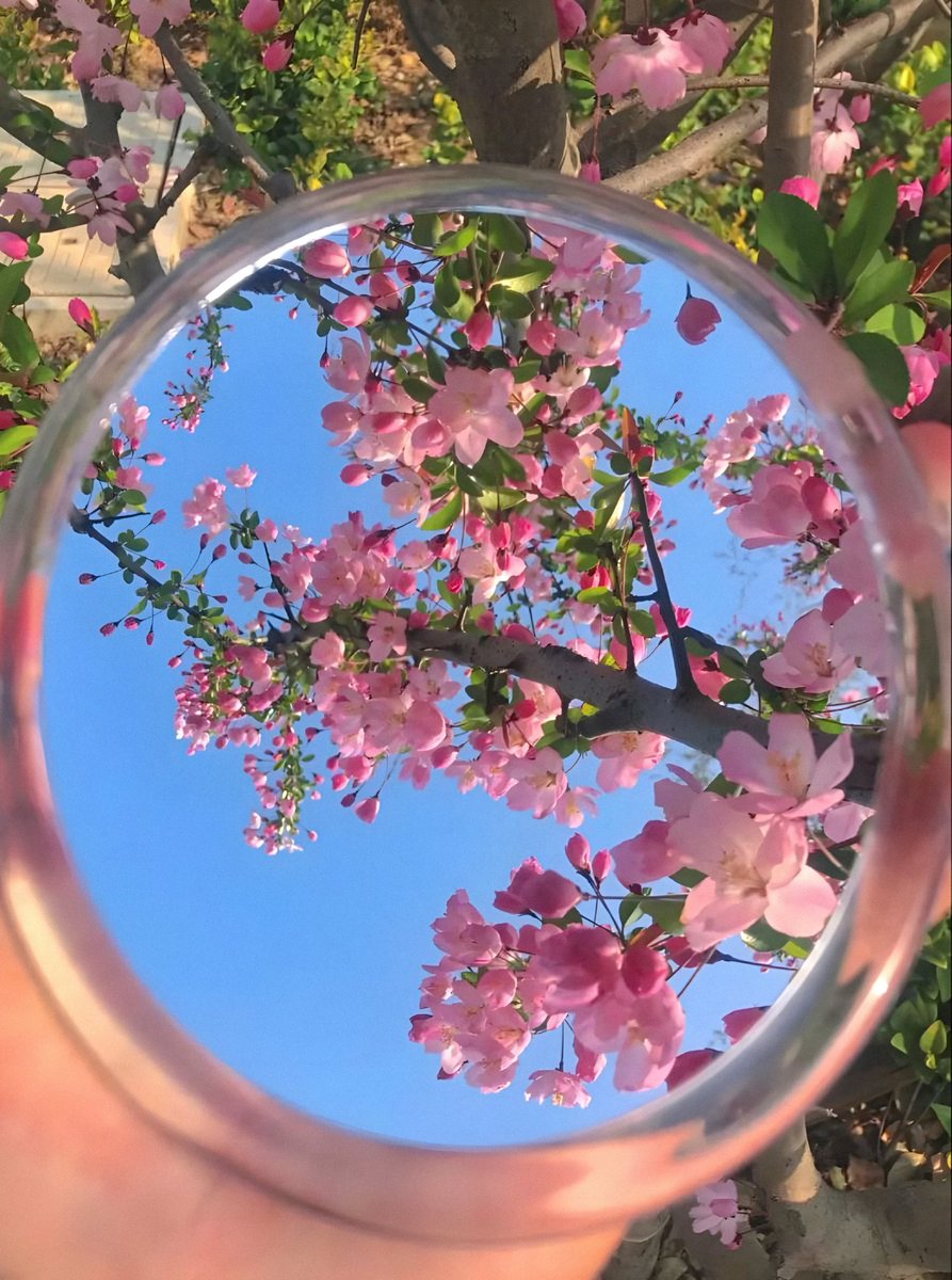 serenity tweet media