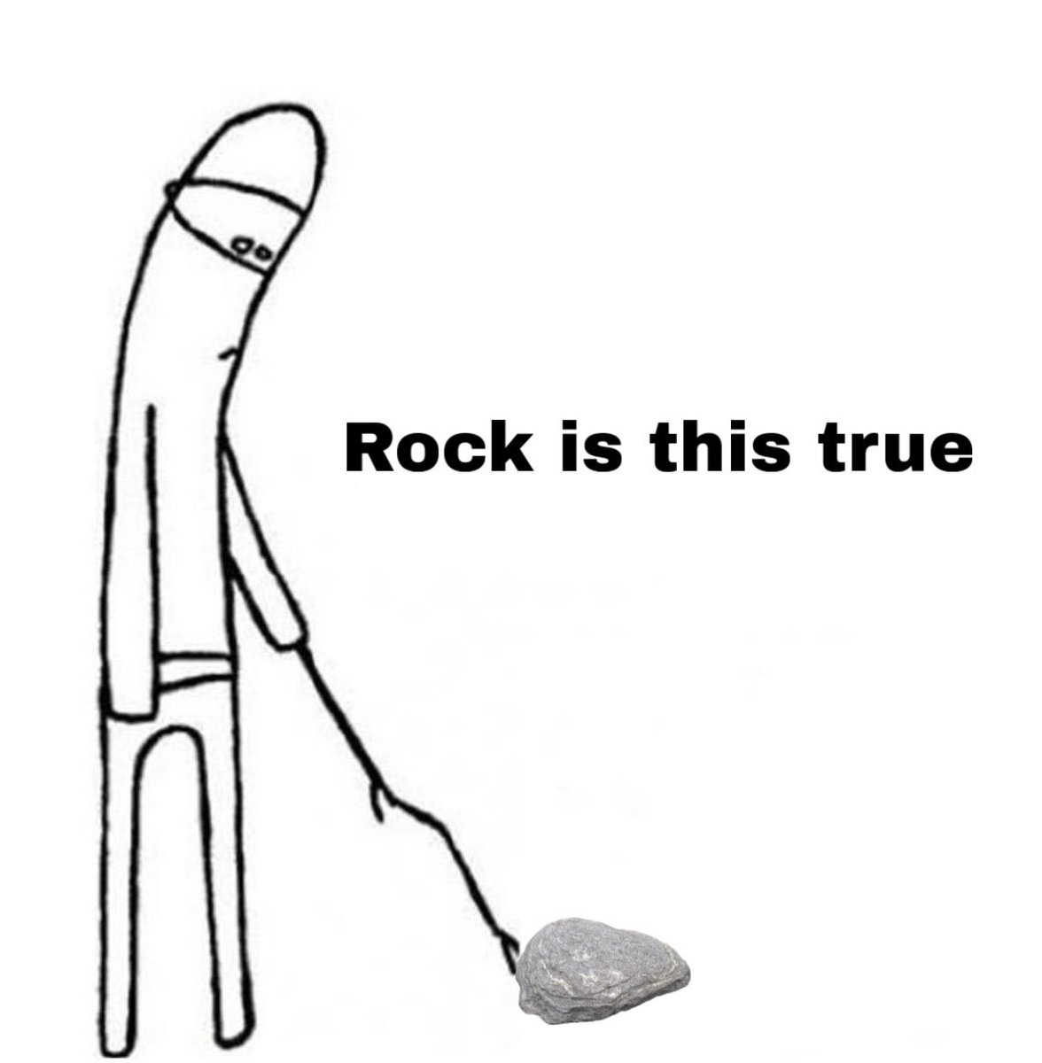 ✩ 𝓈𝑒𝓇𝑒𝓃𝑒 tweet media