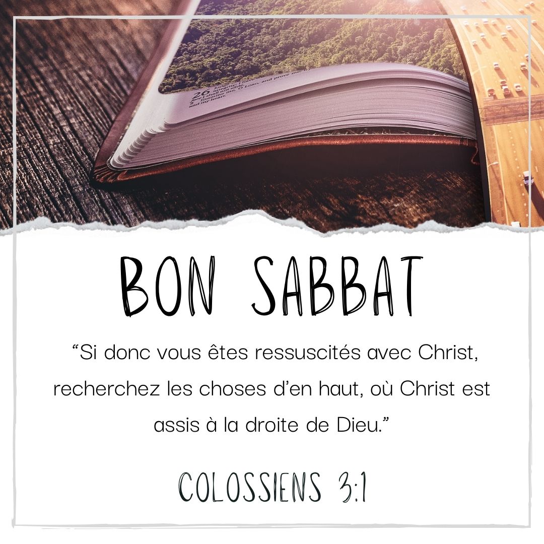 Adventist Messenger tweet media