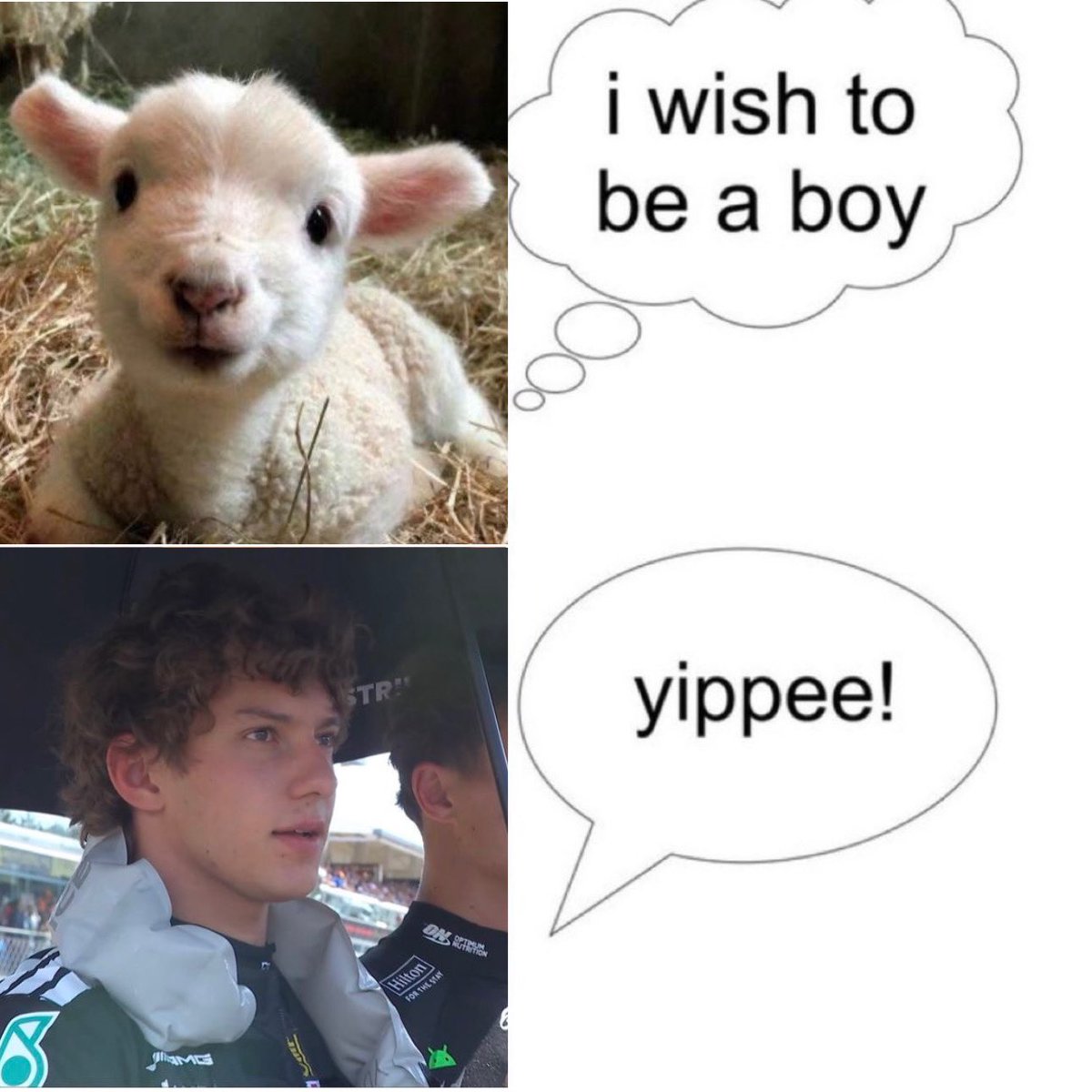 sweet angel (@eniacat) on Twitter photo 