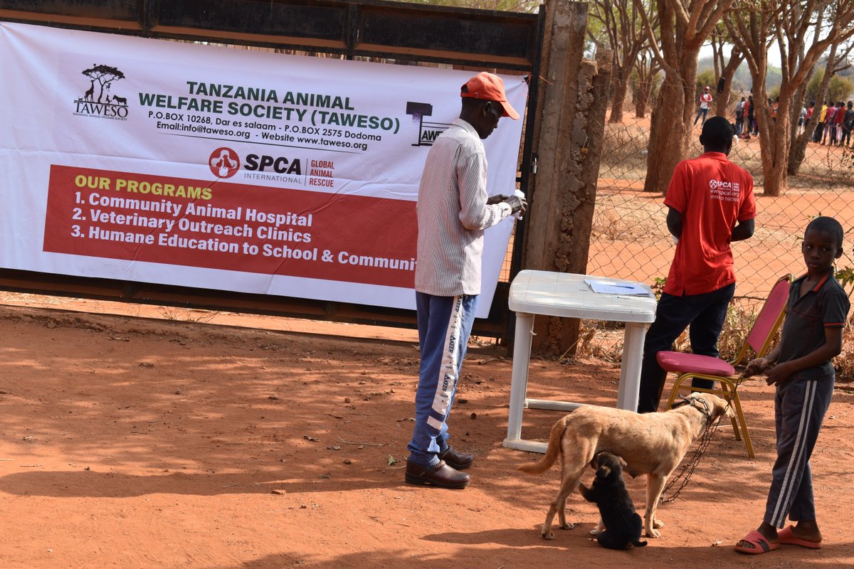 SPCA International tweet media