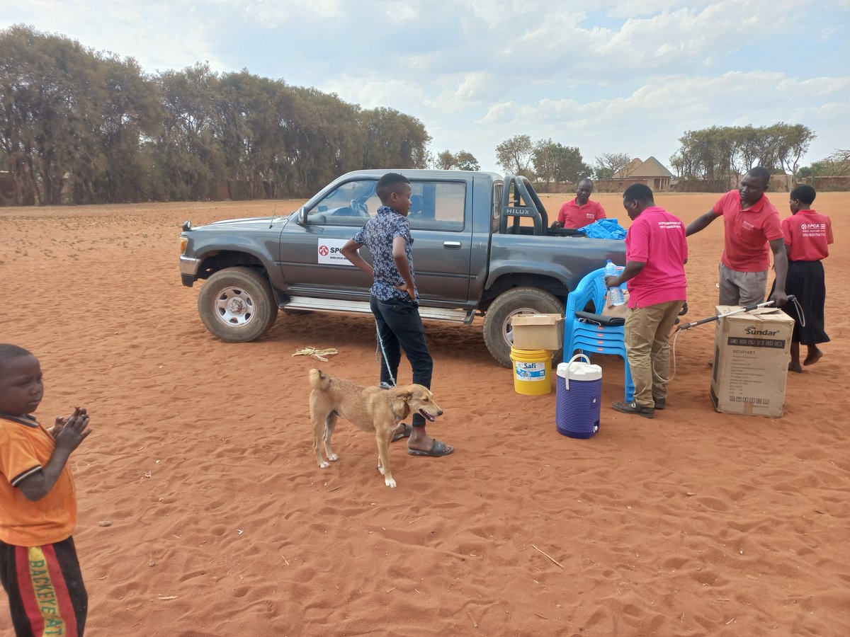 SPCA International tweet media