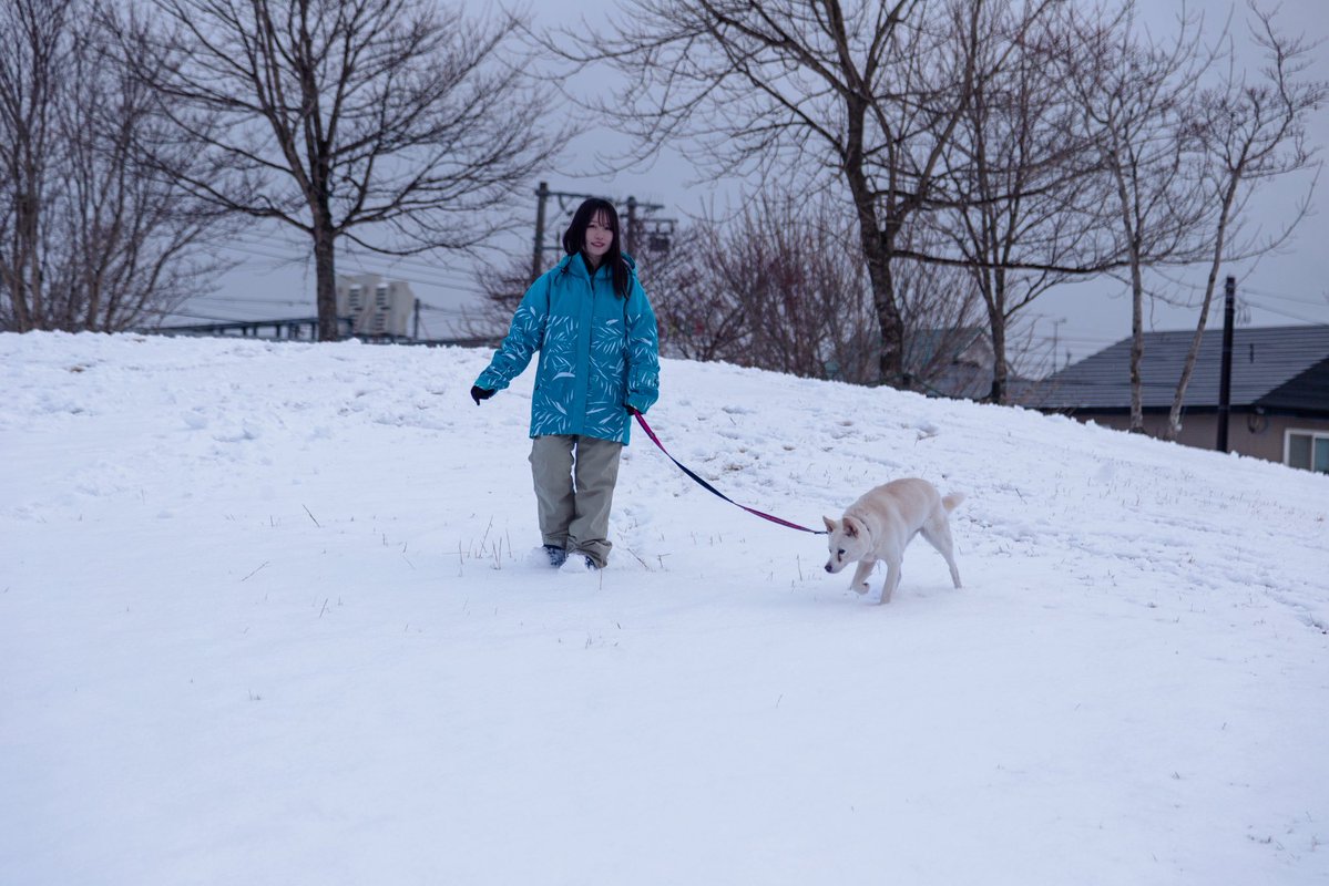 おにころ tweet media