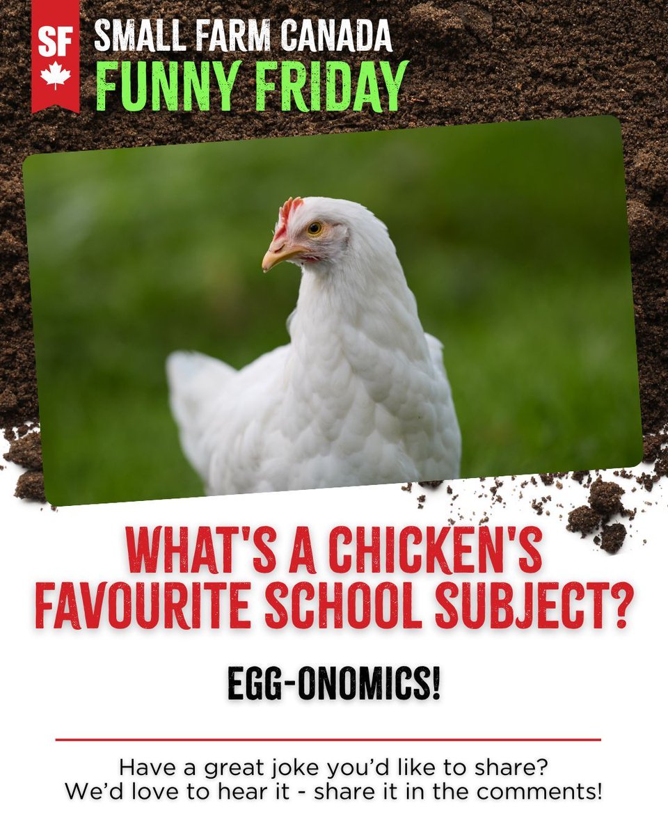 Small Farm Canada tweet media