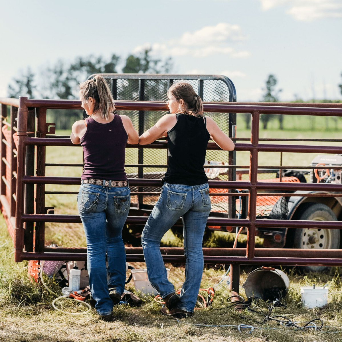 UNL Center for Ag Profitability tweet media
