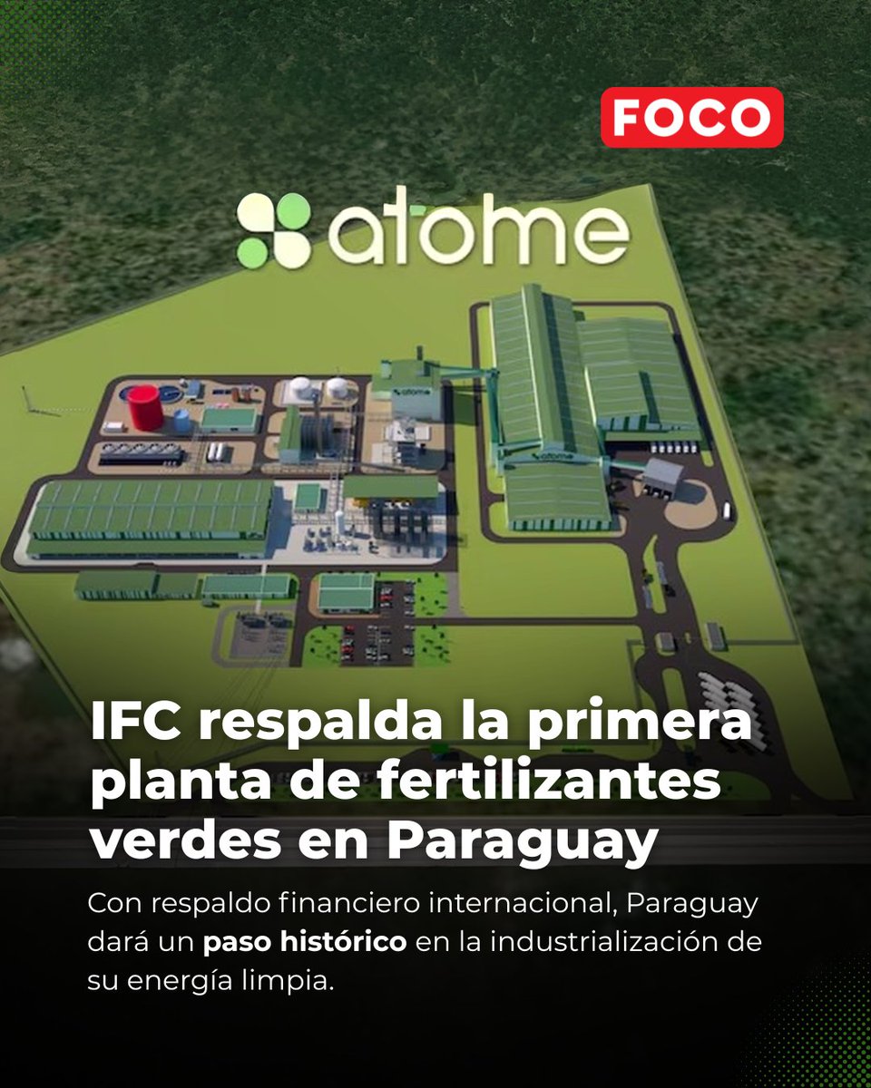 FOCO tweet media