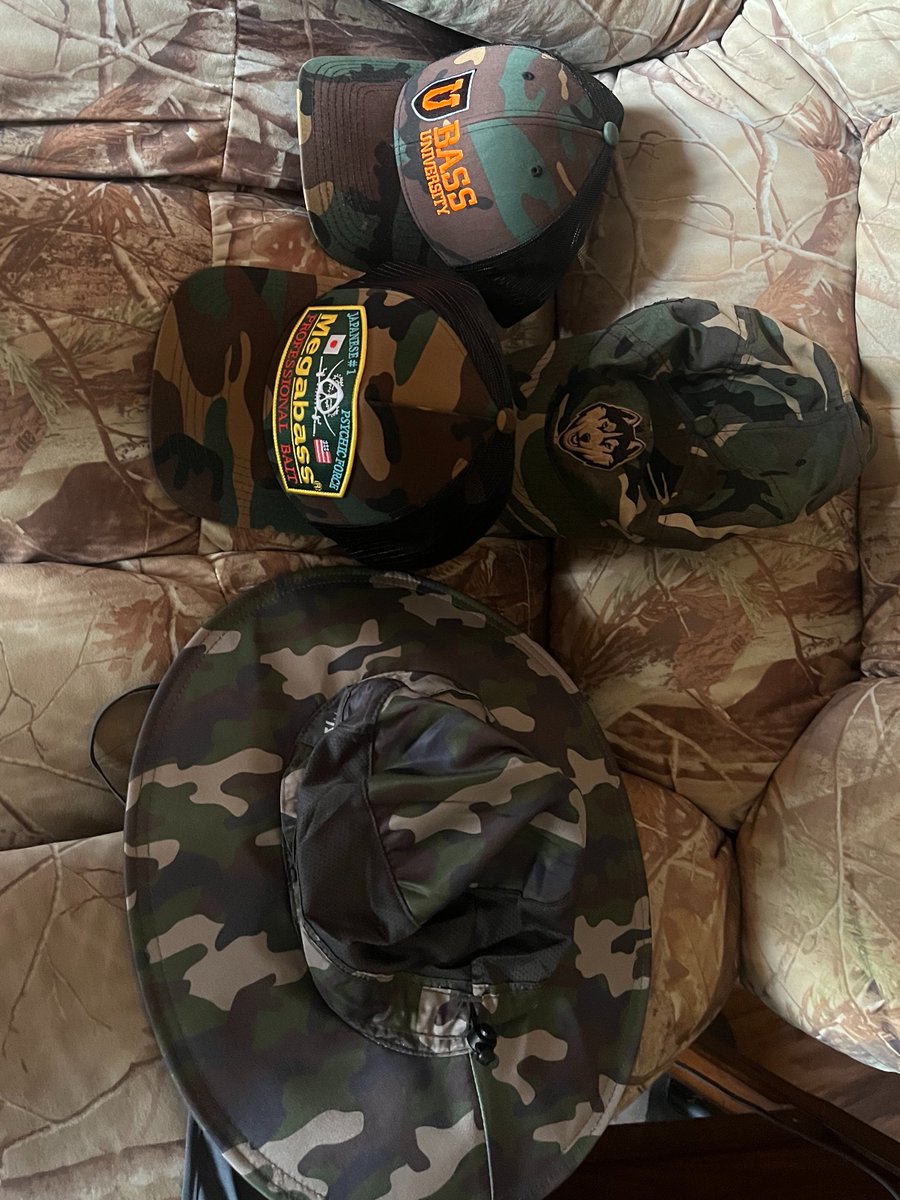 Florida Man V tweet media