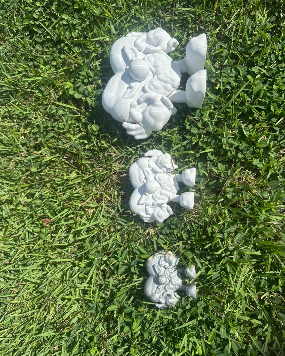 Brayan Viera tweet media