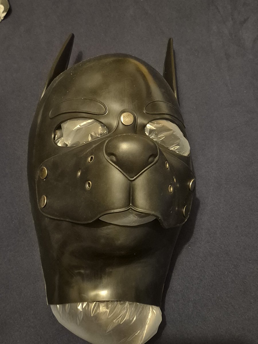 Pup_Sharp tweet media