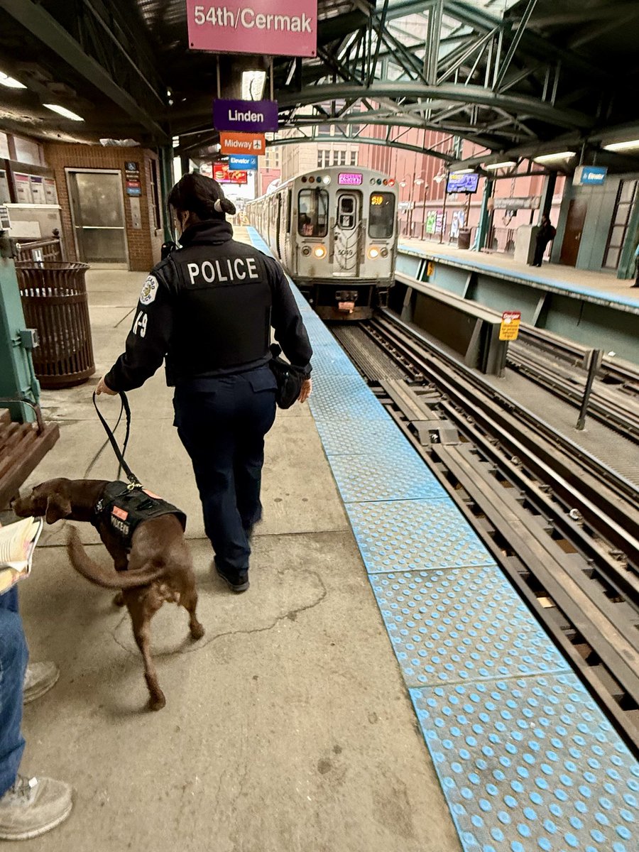 CPD_Transit tweet media