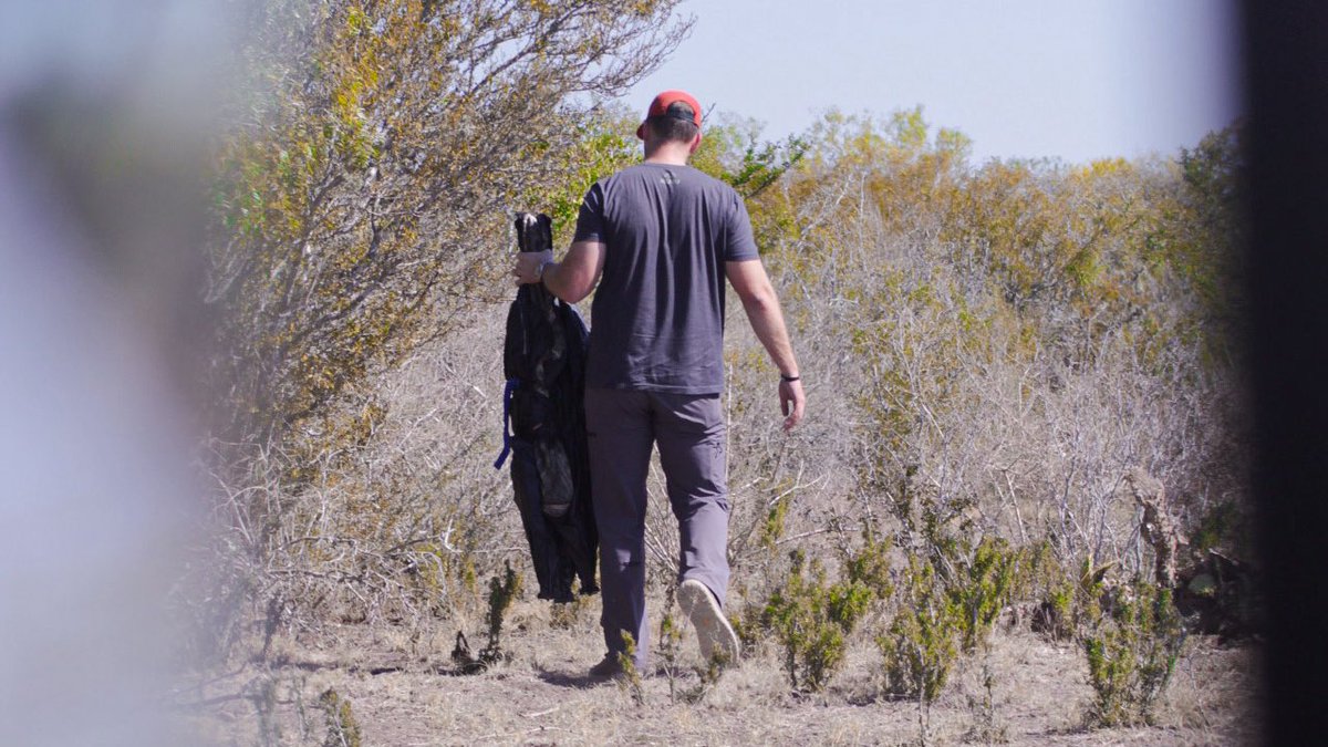 Seth Brown tweet media