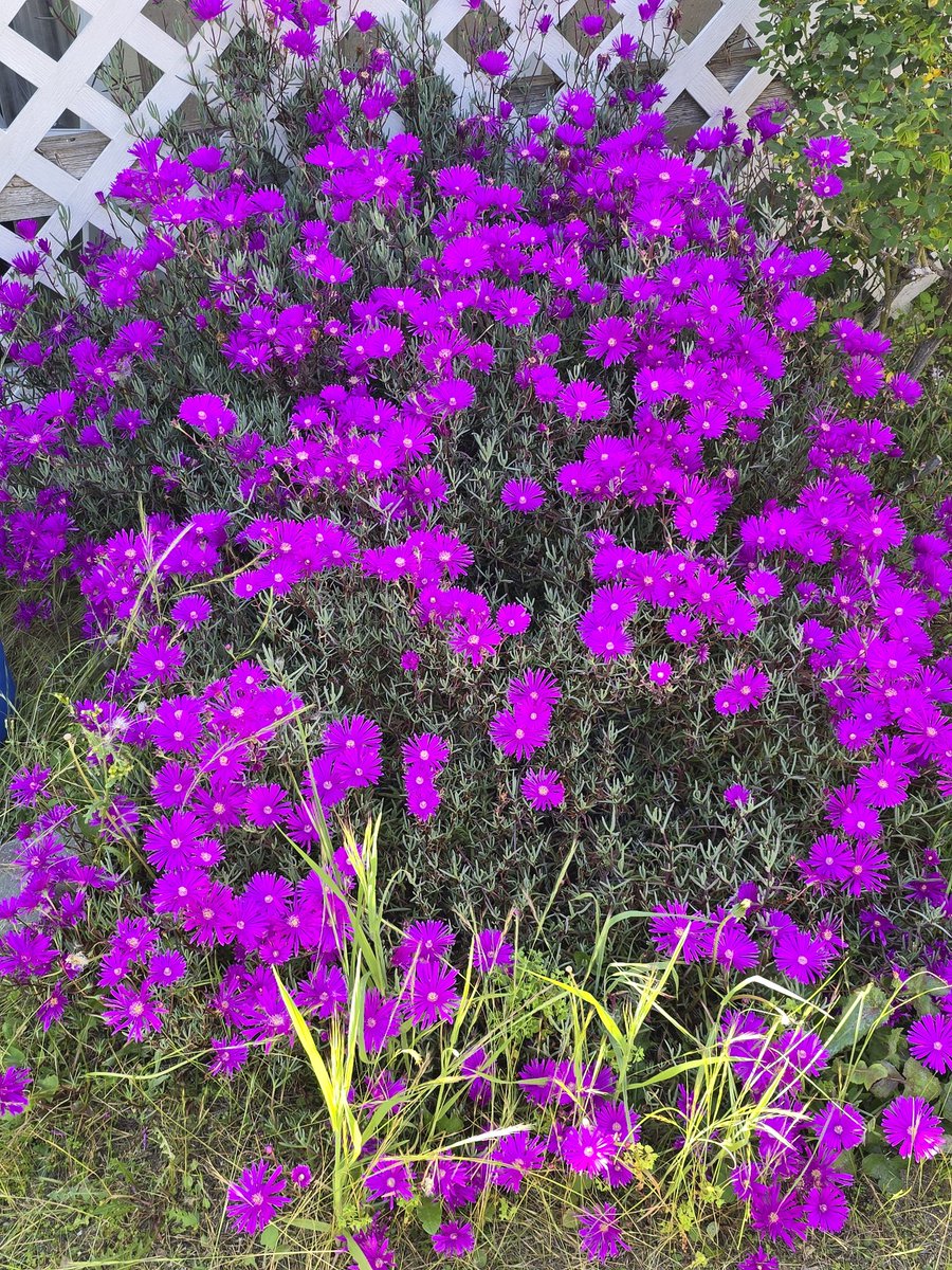 RixxTheUnc tweet media