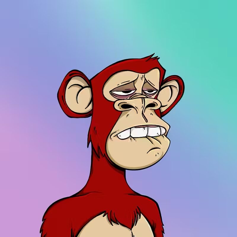 Solstice 💫💜 tweet media